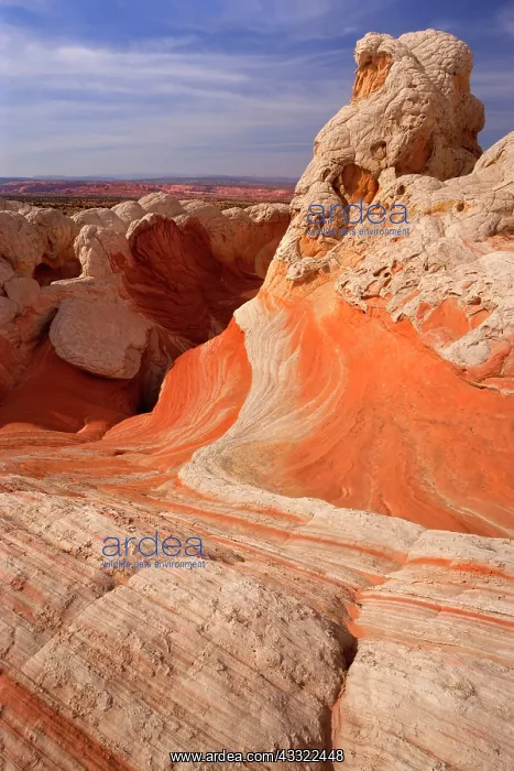 : 80188255 White Pocket - artfully sculpted rock formations : 80188255 White Pocket - artfully sculpted rock formations