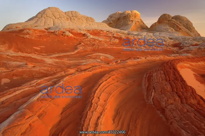 : 80188257 White Pocket - artfully sculpted rock formations : 80188257 White Pocket - artfully sculpted rock formations