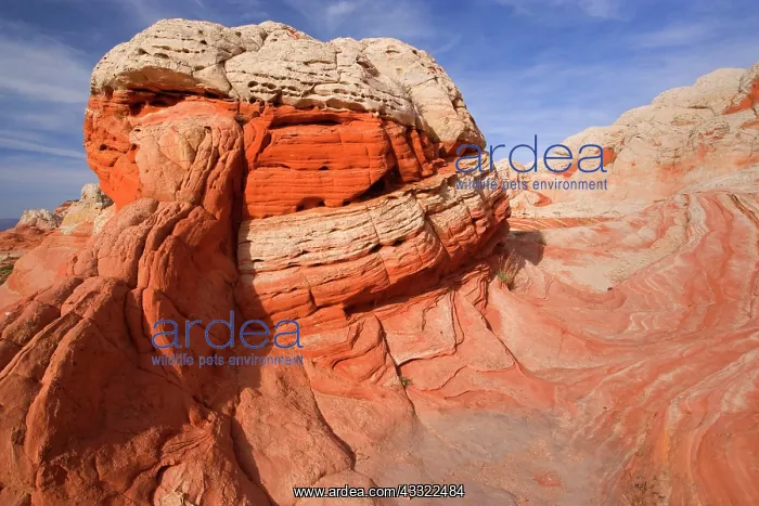 : 80188259 White Pocket - artfully sculpted rock formations : 80188259 White Pocket - artfully sculpted rock formations