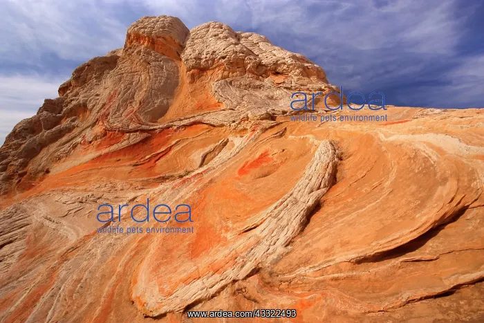 : 80188260 White Pocket - artfully sculpted rock formations : 80188260 White Pocket - artfully sculpted rock formations