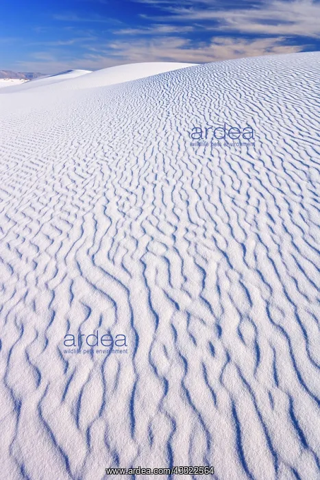 : 80188268 White Dune - light and shadow showing off : 80188268 White Dune - light and shadow showing off