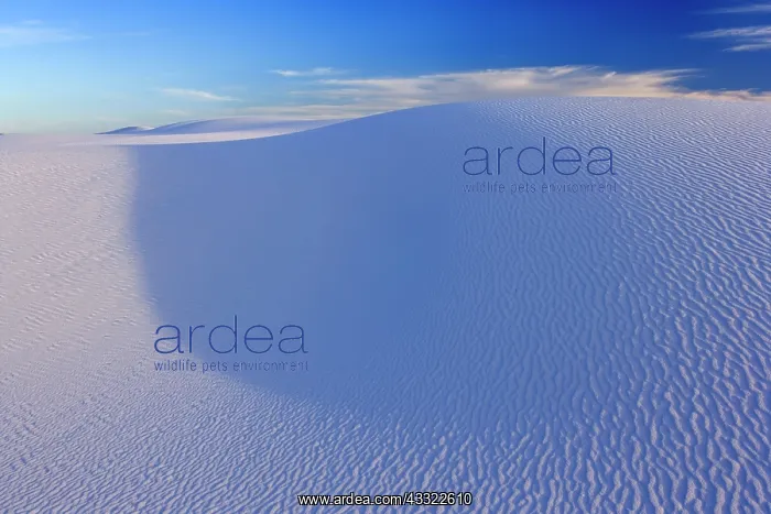 : 80188273 White Dune - light and shadow showing off : 80188273 White Dune - light and shadow showing off