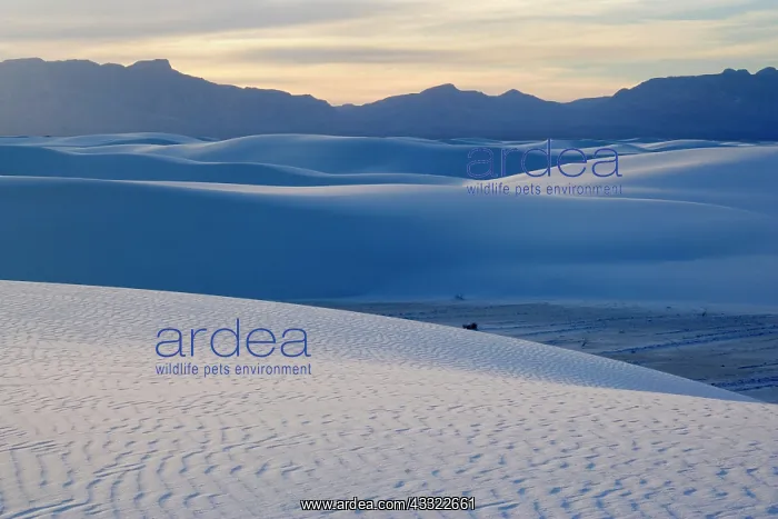 : 80188279 White Dunes - light and shadow on a sea : 80188279 White Dunes - light and shadow on a sea