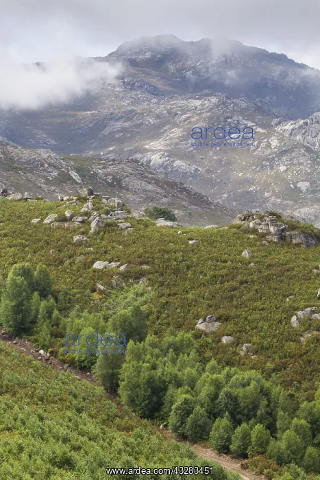 : 80188384 Serra do Xures Natural Park Galicia, Spain : 80188384 Serra do Xures Natural Park Galicia, Spain