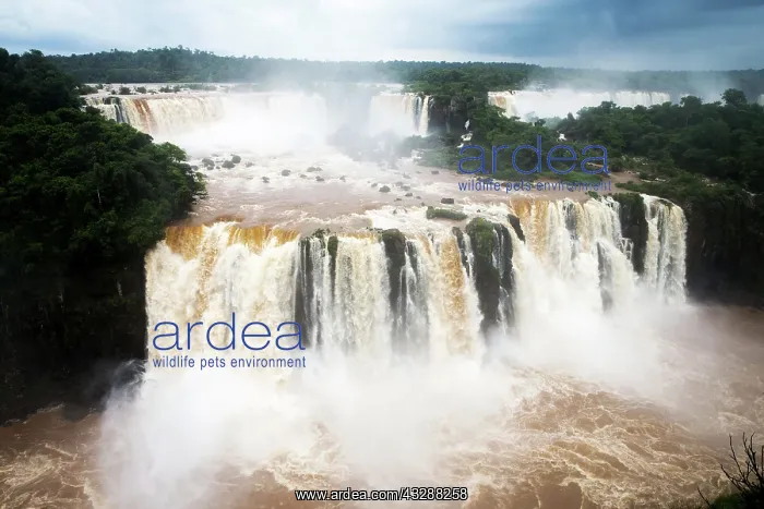 : 80188385 Iguacu Falls Iguacu National Park, Brazil : 80188385 Iguacu Falls Iguacu National Park, Brazil
