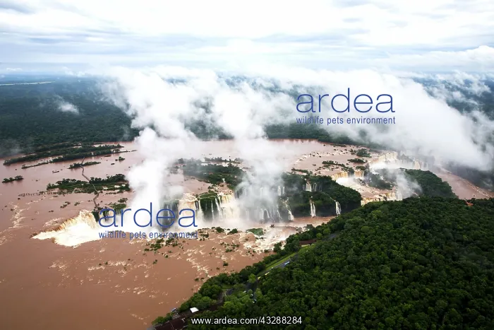 : 80188387 Iguacu Falls Iguacu National Park, Brazil : 80188387 Iguacu Falls Iguacu National Park, Brazil