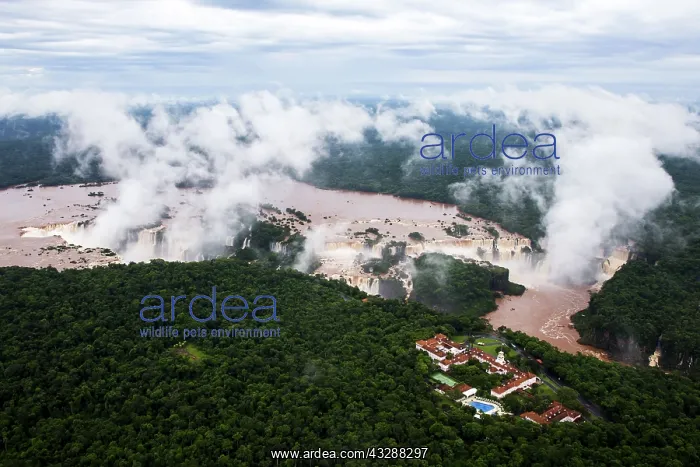 : 80188388 Iguacu Falls Iguacu National Park, Brazil : 80188388 Iguacu Falls Iguacu National Park, Brazil