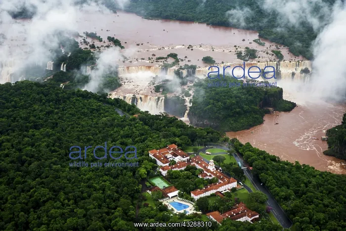 : 80188389 Iguacu Falls Iguacu National Park, Brazil : 80188389 Iguacu Falls Iguacu National Park, Brazil