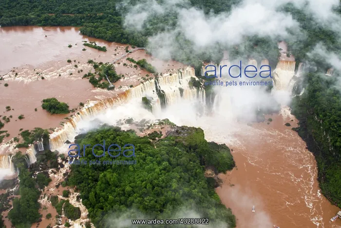 : 80188390 Iguacu Falls Iguacu National Park, Brazil : 80188390 Iguacu Falls Iguacu National Park, Brazil