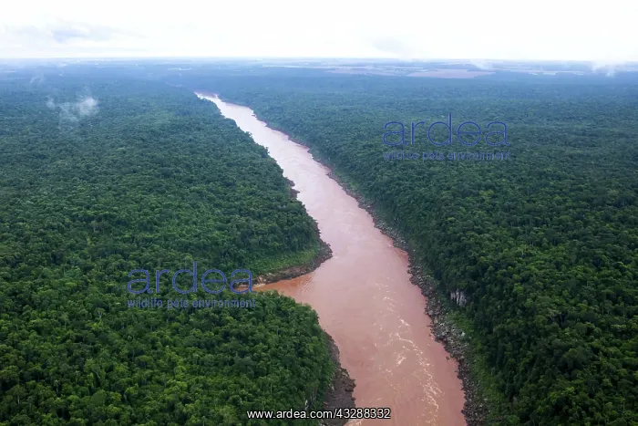 : 80188391 Iguacu River Iguacu National Park, Brazil : 80188391 Iguacu River Iguacu National Park, Brazil