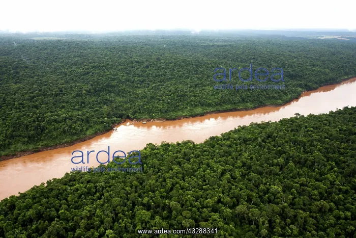 : 80188392 Iguacu River Iguacu National Park, Brazil : 80188392 Iguacu River Iguacu National Park, Brazil