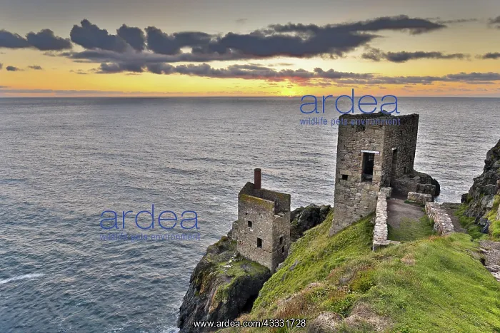 : 80188636 Seascape - The Crowns Engine Houses at : 80188636 Seascape - The Crowns Engine Houses at