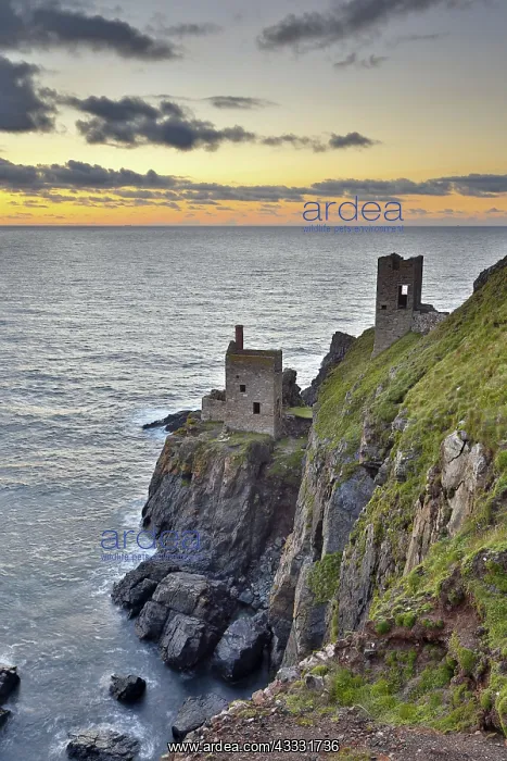 : 80188637 Seascape - The Crowns Engine Houses at : 80188637 Seascape - The Crowns Engine Houses at