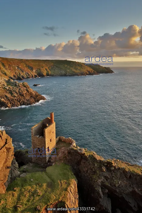 : 80188638 Seascape - Engine House at Sunset Botallack : 80188638 Seascape - Engine House at Sunset Botallack
