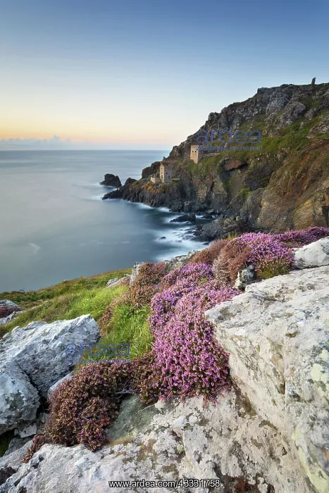  : 80188640 Seascape - Engine Houses at Sunset Botallack