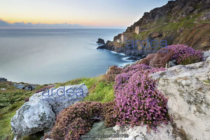 : 80188641 Seascape - at sunset Botallack, Cornwall : 80188641 Seascape - at sunset Botallack, Cornwall