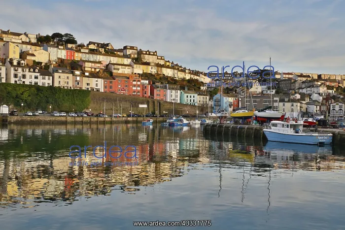 : 80188642 Brixham Harbour Devon, UK David Chapman : 80188642 Brixham Harbour Devon, UK David Chapman