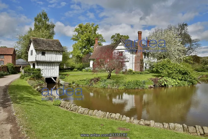 : 80188643 Brockhampton National Trust Estate Herefordshire : 80188643 Brockhampton National Trust Estate Herefordshire