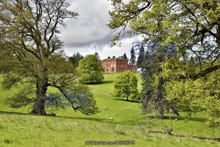 : 80188644 Brockhampton National Trust Estate Herefordshire : 80188644 Brockhampton National Trust Estate Herefordshire