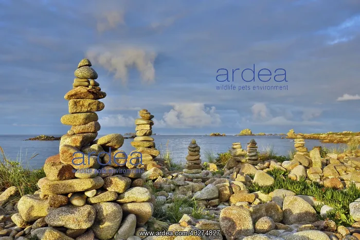 : 80188649 Bryher - Pebble Piles Isles of Scilly : 80188649 Bryher - Pebble Piles Isles of Scilly