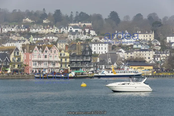 : 80188683 Dartmouth Quay - From Kingswear Devon : 80188683 Dartmouth Quay - From Kingswear Devon