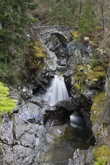 : 80188692 Falls of Bruar Blair Atholl, Scotland : 80188692 Falls of Bruar Blair Atholl, Scotland