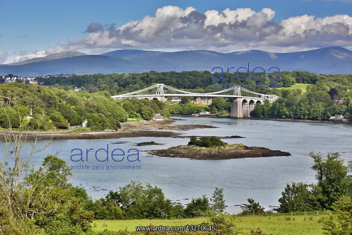  : 80188734 Menai Bridge Anglesey, Wales, UK David