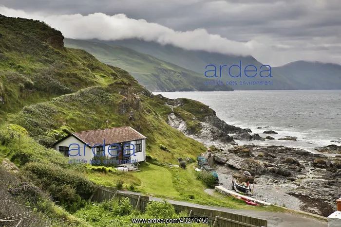 : 80188745 Niarbyl Isle of Man, UK David Chapman All : 80188745 Niarbyl Isle of Man, UK David Chapman All