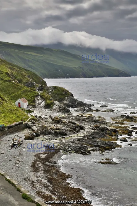 : 80188746 Niarbyl Isle of Man, UK David Chapman All : 80188746 Niarbyl Isle of Man, UK David Chapman All