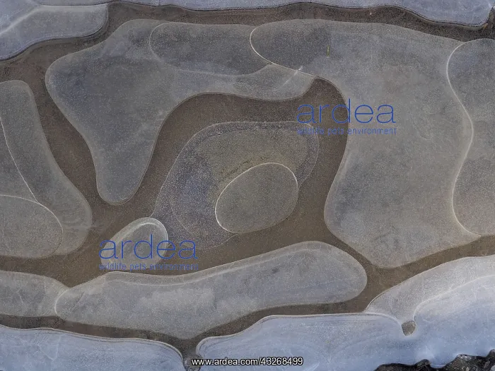 : 80189119 Icy surface of frozen water puddle Germany : 80189119 Icy surface of frozen water puddle Germany