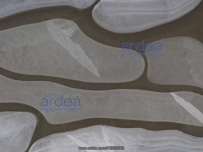: 80189122 Icy surface of frozen water puddle Germany : 80189122 Icy surface of frozen water puddle Germany