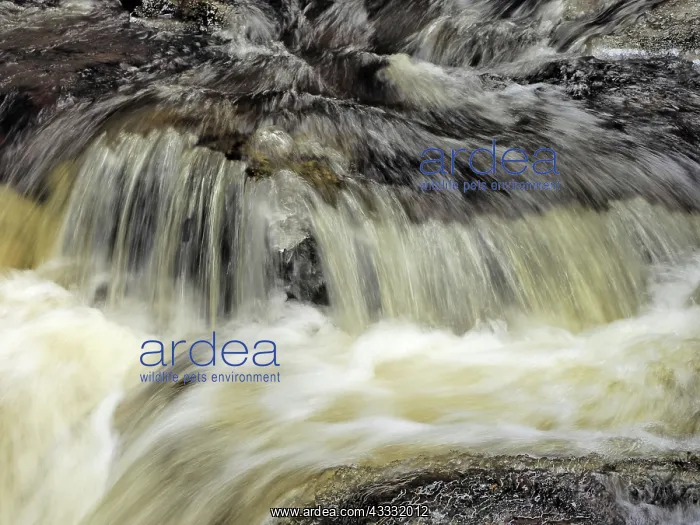 : 80189184 Stream Ore Mountains, Germany Stefan Meyers : 80189184 Stream Ore Mountains, Germany Stefan Meyers