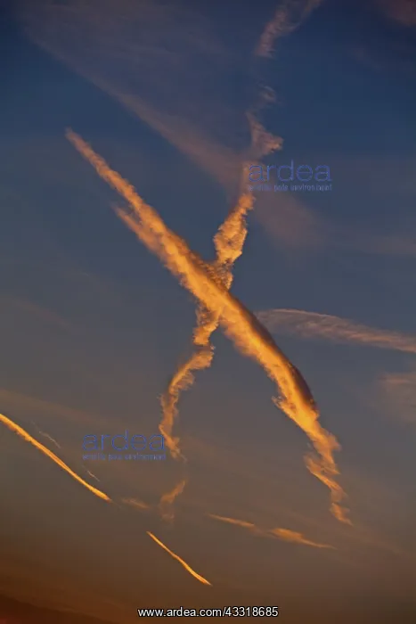 : 80189536 Contrails - at sunset Lower Saxony, Germany : 80189536 Contrails - at sunset Lower Saxony, Germany