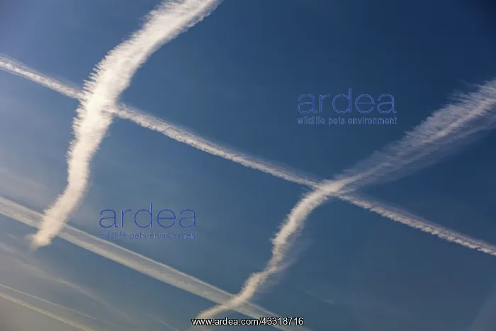 : 80189539 Contrails Lower Saxony, Germany, Europe : 80189539 Contrails Lower Saxony, Germany, Europe