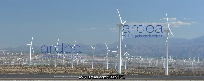 : 80190095 Wind farm - uses hot air rising from the : 80190095 Wind farm - uses hot air rising from the