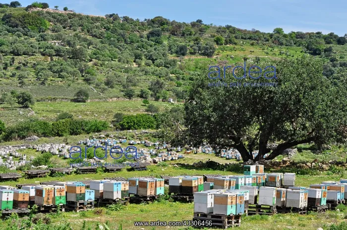 : 80190103 Bee Hives - in mountains Crete, Greece : 80190103 Bee Hives - in mountains Crete, Greece
