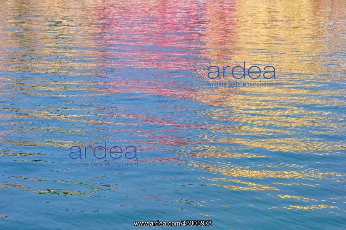  : 80190113 Colours reflected in water Crete, Greece