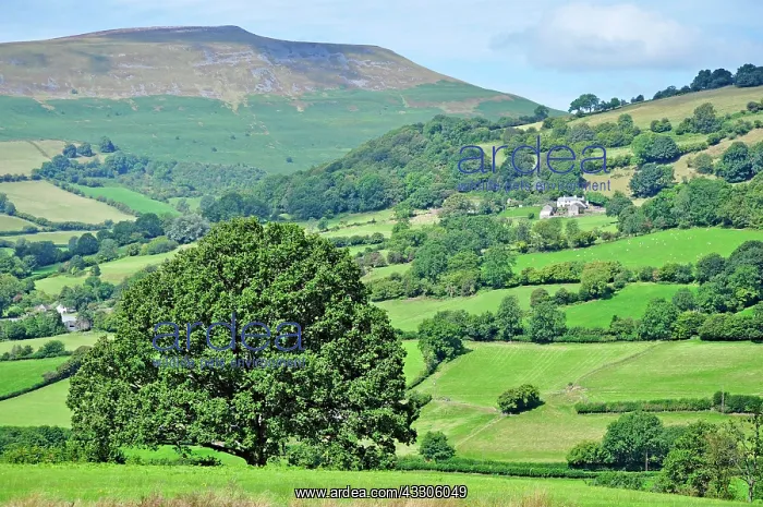 : 80190123 Fields - on hills with thick hedges Brecon : 80190123 Fields - on hills with thick hedges Brecon