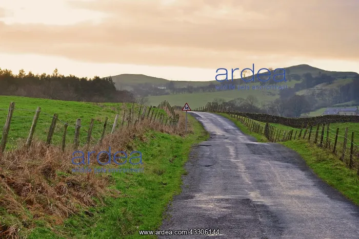  : 80190134 Country Lane - at sunset Yorkshire Dales