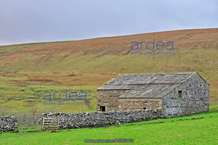 : 80190136 Gate - in traditional stone wall opening : 80190136 Gate - in traditional stone wall opening