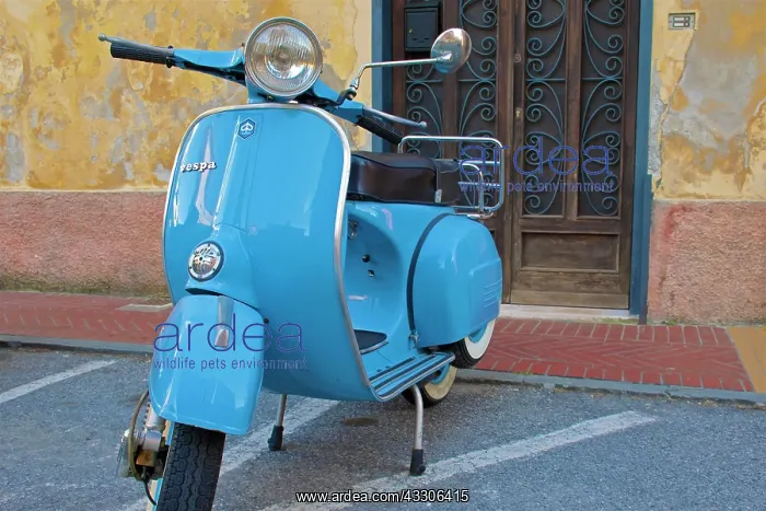 : 80190162 Blue Vespa Moped Monterosso, Cinque Terre : 80190162 Blue Vespa Moped Monterosso, Cinque Terre