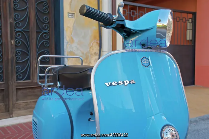: 80190163 Blue Vespa Moped Monterosso, Cinque Terre : 80190163 Blue Vespa Moped Monterosso, Cinque Terre