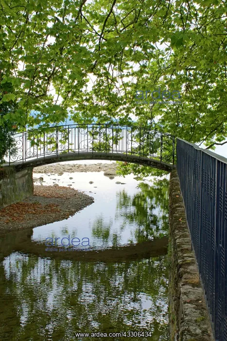 : 80190164 Footbridge - with ornate ironmongery in : 80190164 Footbridge - with ornate ironmongery in