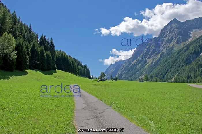  : 80190165 Mountain Road Valais, The Alps, Switzerland