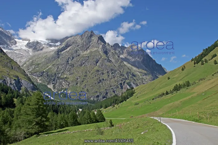 : 80190166 Mountain Road Valais, The Alps, Switzerland : 80190166 Mountain Road Valais, The Alps, Switzerland