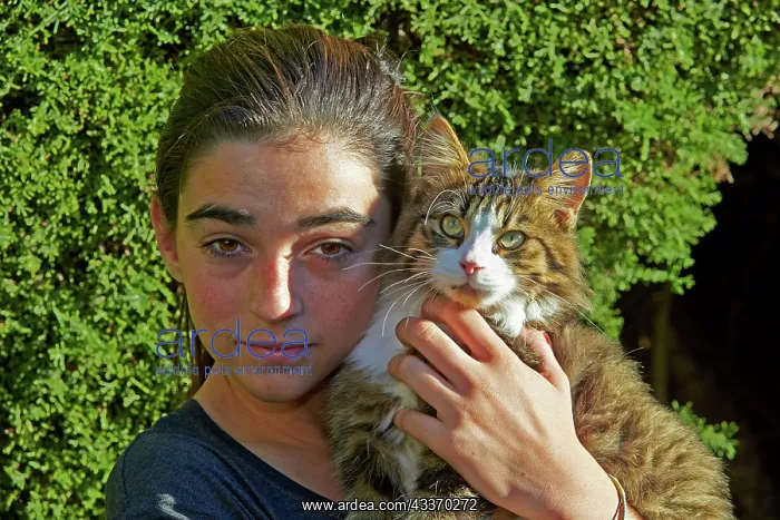 : 80190189 Girl with Cat Alpes-Maritimes, France M : 80190189 Girl with Cat Alpes-Maritimes, France M