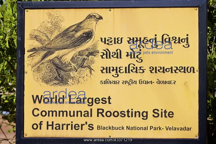 : 80190405 Sign - information panel on Harriers wintering : 80190405 Sign - information panel on Harriers wintering