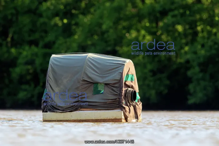 : 80190475 Floating Hide - for wildlife photography : 80190475 Floating Hide - for wildlife photography