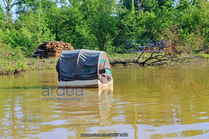 : 80190476 Floating Hide - for wildlife photography : 80190476 Floating Hide - for wildlife photography