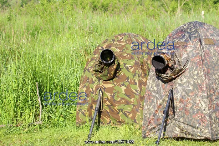 : 80190478 Hide - for wildlife photography Dombes : 80190478 Hide - for wildlife photography Dombes